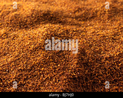 Paprica piccante [eros paprika ungherese] spice , close up full frame Foto Stock