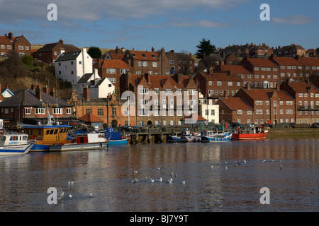 Pittoresca area di Whitby dall'Harbourside. I gabbiani nuotare in acqua come raggi di luce illuminano le case sul lungomare. Foto Stock