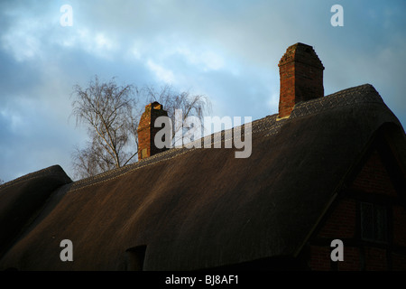 Un camino sul tetto di paglia di un cottage Foto Stock