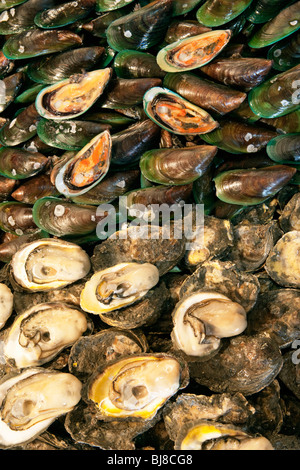 A labbro verde mitili e ostriche in vendita al mercato del pesce; Manila Filippine; Foto Stock