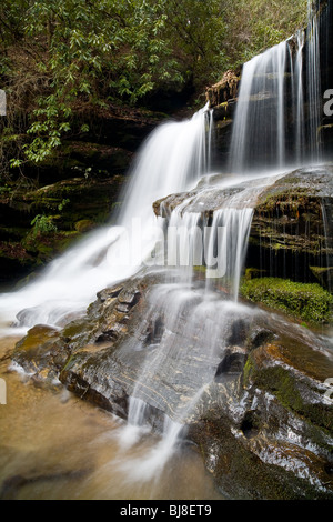 Martin creek falls Foto Stock