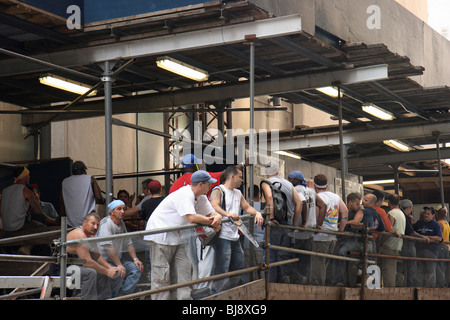 Lavoratori edili in attesa sul ponteggio, New York, Stati Uniti d'America Foto Stock
