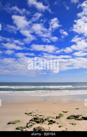 Spiaggia con alghe marine e rocce sulla Florida North Atlantic Coast Foto Stock