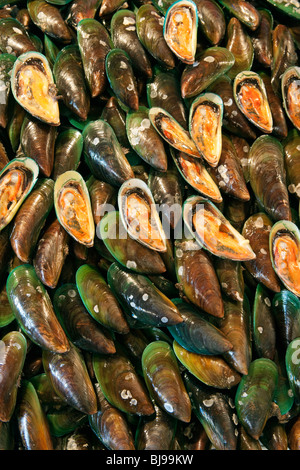 Verde cozze a labbro in vendita al mercato del pesce; Manila Filippine; Foto Stock