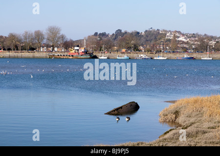 Fiume Torridge a Bideford North Devon con due Oche del Canada e a metà barca sommersa relitto. Foto Stock