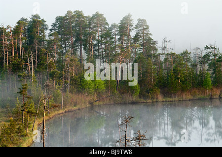 Lago di legno con l'aumento del vapore da una tavola di acqua. Mattina nella taiga forest. Nebbia sulla superficie dell'acqua. Tranquillo Lago. La Russia Foto Stock