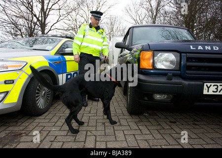 Funzionario di polizia di lavoro Droghe un cane di ricerca Foto Stock