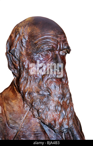 Charles Darwin, busto, Accademia delle Scienze di New York Foto Stock