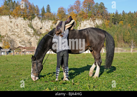 Ragazza saddling è un cavallo, stile inglese Foto Stock