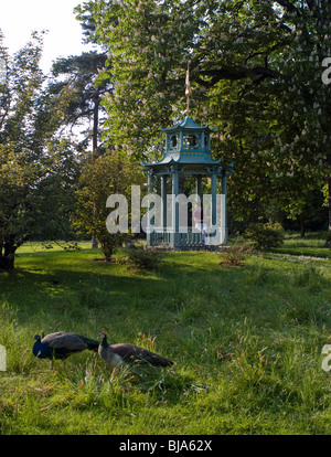 Parigi, Francia, Parchi urbani, Paesaggio di Primavera, persone che visitano 'Bois de Boulogne' Urban Garden gente paesaggistica della città, jardin de bagatelle Foto Stock