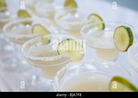 Cocktail margarita con zucchero e calce Foto Stock