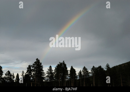 Rainbow su una foresta di conifere nel Parco Nazionale delle Montagne Rocciose Foto Stock