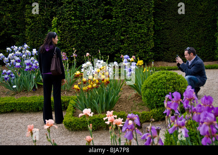 Donna in Giardino, Parigi, Francia, Parchi pubblici, uomo che scatta foto, Jardin de Bagatelle Gardens, 'Bois de Boulogne' relax in giardino moderno Foto Stock