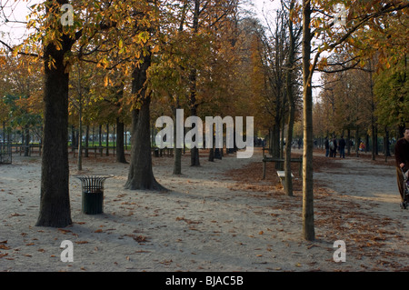 Parigi, Francia, Parchi pubblici, Giardini delle Tuileries, Parco, in autunno, vuoto, vista panoramica, paesaggio francese ambientale Foto Stock