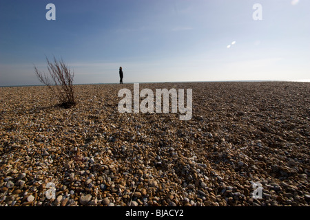 Persona in piedi sullo sfondo sulla spiaggia vuota di Dungeness, Kent, Regno Unito, con pianta nella sabbia Foto Stock