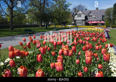 Fioritura tulipani e curatore's Cottage, Giardini Botanici, Christchurch Nuova Zelanda in primavera. Foto Stock