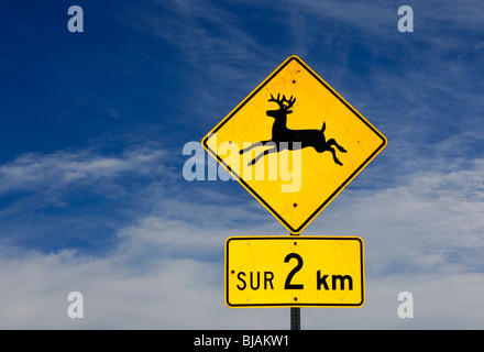 Simbolo giallo di avvertimento per mooses, distanza indicazione in francese, provincia del Québec in Canada Foto Stock