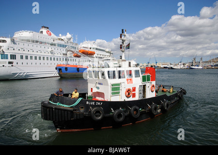 Blue Jay un oceano andando tug azionato da Transnet la porte nazionale competente organizzazione in Cape Town Harbour Sud Africa Foto Stock