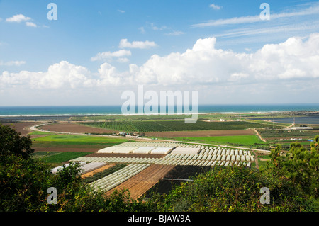 Israele, pianure costiere come si vede dal Carmelo di montagna mare mediterraneo in background Foto Stock