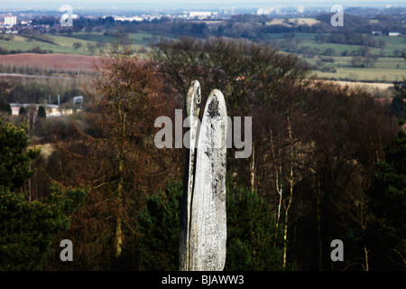 Licky Hills Country Park worcestershire Foto Stock