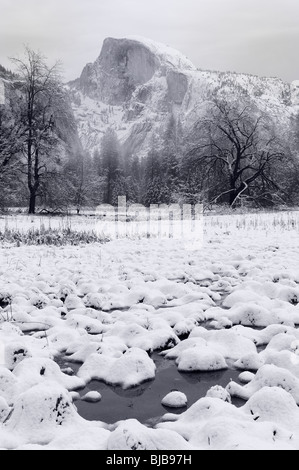 Monocromatico di Half Dome da coperta di neve cuochi Prato marsh in inverno il Parco Nazionale di Yosemite Valley California USA Foto Stock