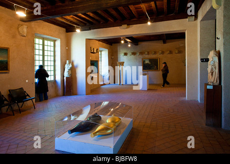 Sala del Castello Comtal, la città medievale di Carcassonne, Francia Foto Stock