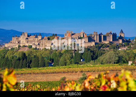 La città medievale di Carcassonne, Francia Foto Stock