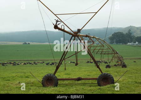 Perno centrale di un sistema di irrigazione in un agriturismo nelle Midlands, Kwazulu Natal, Sud Africa. Foto Stock