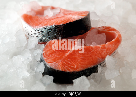 Bistecche fresche di pesce di salmone ghiacciato su ghiaccio Foto Stock