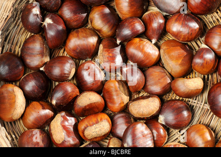 Le castagne incorniciato in una tradizionale fatto a mano pallacanestro italiana Foto Stock