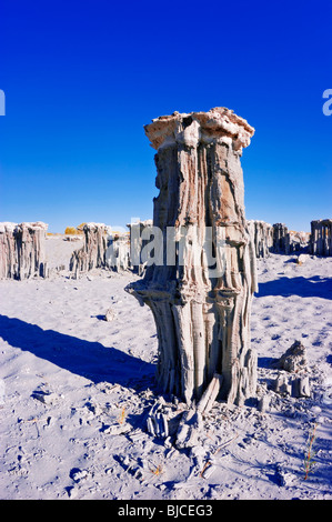 Delicato tufas di sabbia in riva sud del Lago Mono, Mono Basin National Scenic Area, California Foto Stock
