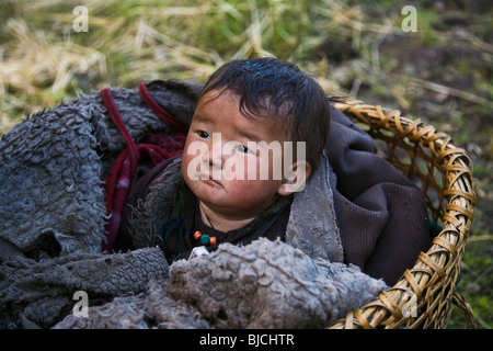 Un bambino nepalese riposa in un cestello in NUPRI - intorno il MANASLU TREK, NEPAL Foto Stock