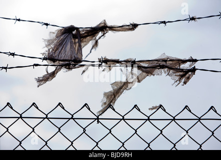 I resti di alcuni sacchi di plastica grovigli sul filo spinato soffiare il vento al di sopra di qualche catena-link scherma Foto Stock