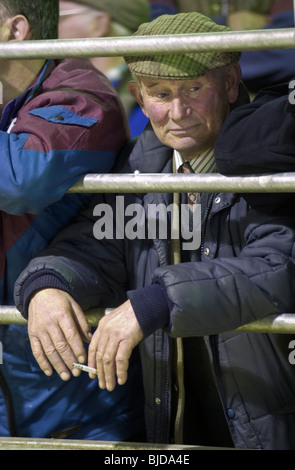 Gli agricoltori a guardare l'asta al Regno Unito il primo organico magazzino di vendita che si è tenuto a Brecon mercato del bestiame, Powys, Galles del Sud Foto Stock