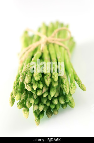 Bundle di asparagi freschi germogli Foto Stock