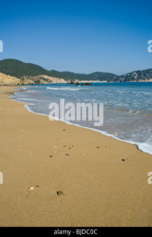 Vista generale della spiaggia di Cala Es Figueral, Ibiza, Spagna Foto Stock