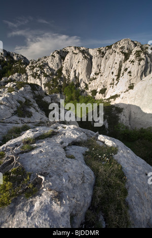 Verde delle pinete rivestire il drammatico in calcare bianco montagna carsica terreno del kukovi rozanksi in Velebit parco nazionale, Croazia Foto Stock