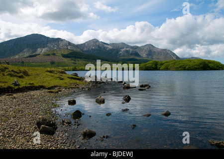 Il Twelve Bens di Connemara montagne da Derryclare Lough, Connemara, nella contea di Galway, Irlanda Foto Stock