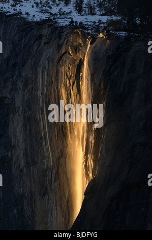 Equiseto cade su El Capitan accesa dall'ultimo orange raggi del sole visto dalla valle di Yosemite Yosemite National Park California USA Foto Stock