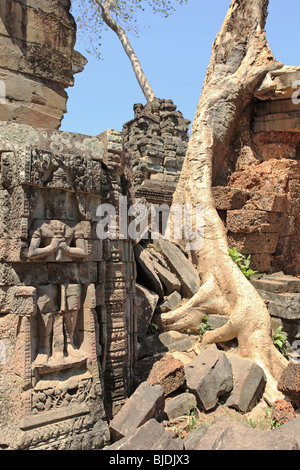 Preah Khan tempio di Angkor, vicino a Siem Reap, Cambogia Foto Stock