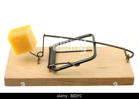 Trappola di topo con formaggio Foto Stock