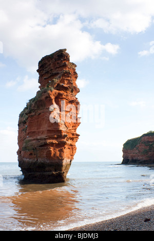 Pile di mare a Ladram Bay, Devon England Regno Unito Foto Stock