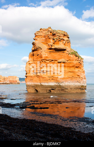 Pile di mare a Ladram Bay, Devon England Regno Unito Foto Stock