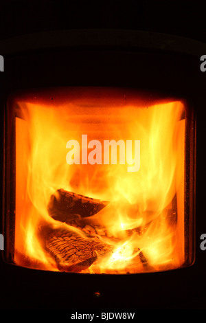 Il posto del fuoco bruciando legno stufa di registro all'interno di casa in inverno
