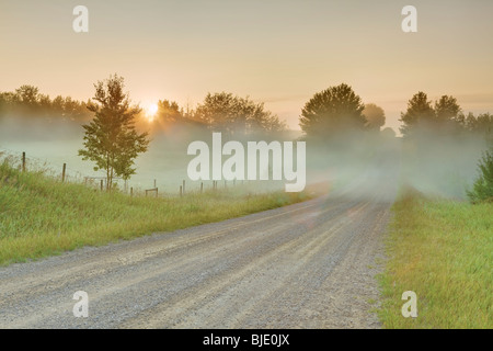 Backroad rurale nella nebbia di Sunrise, vicino a Stony Plain, Alberta, Canada Foto Stock