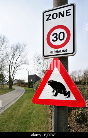 Segnale di avvertimento per la migrazione di anfibi / rospi attraversando la strada durante la migrazione annuale in primavera, Belgio Foto Stock