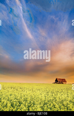 Prairie fienile e cielo drammatico, Alberta, Canada Foto Stock