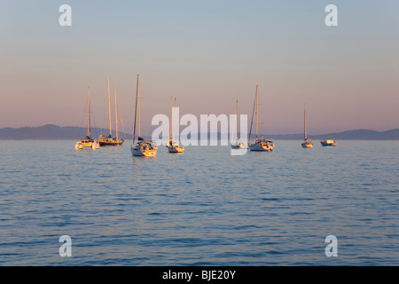 Hyères, Provenza, Francia. Yacht ancorati nella baia off Presqu'île de Giens, tramonto. Foto Stock