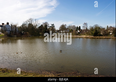 Un stagno su Gerrards Cross West comune. Foto Stock