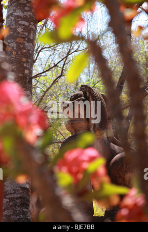 Fossato, un custode lion statua, a Phnom Banan tempio a Battambang, Cambogia Foto Stock